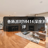 香肠派对M416深度测评（图2）