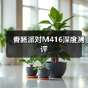 香肠派对M416深度测评（图3）