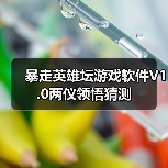 暴走英雄坛游戏软件V1.0两仪领悟猜测