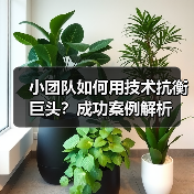 小团队如何用技术抗衡巨头？成功案例解析