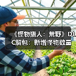 《怪物猎人：荒野》DLC解包：新增怪物数