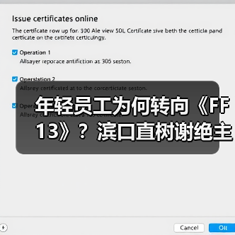 年轻员工为何转向《FF13》？滨口直树谢