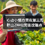 心动小镇奇灵夜第三周新出2种虫图鉴攻略点