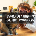 《辐射》真人剧第三季5月开拍！故事与《辐射5》关联（图3）