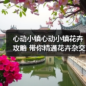 心动小镇心动小镇花卉攻略 带你精通花卉杂交（图3）