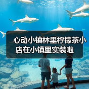 心动小镇林里柠檬茶小店在小镇里实装啦
