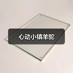 心动小镇羊驼（图4）