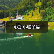 心动小镇羊驼