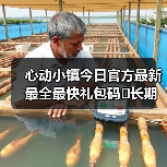 心动小镇今日官方最新最全最快礼包码❗长期更新（图3）