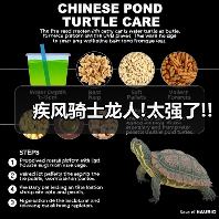 疾风骑士龙人!太强了!!(图1) 疾风骑士龙人!太强了!!(图1)