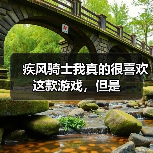 疾风骑士我真的很喜欢这款游戏，但是（图2）