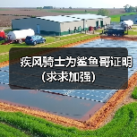 疾风骑士为鲨鱼哥证明(求求加强)(图3) 疾风骑士为鲨鱼哥证明(求求加强)(图3)