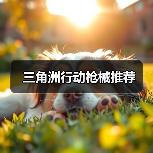 三角洲行动枪械推荐(图4) 三角洲行动枪械推荐(图4)