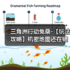 三角洲行动兔桑-【玩法攻略】机密地图还在错误跑刀？别笑，你也可能跑错了
