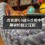 改装版G3战斗步枪中距离架枪稳定压制（图2）