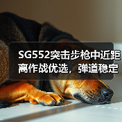 SG552突击步枪中近距离作战优选,弹道稳定高射速(图1) SG552突击步枪中近距离作战优选,弹道稳定高射速(图1)