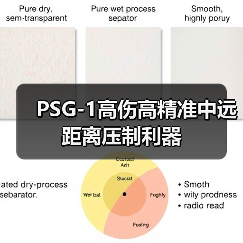 PSG-1高伤高精准中远距离压制利器（图3）