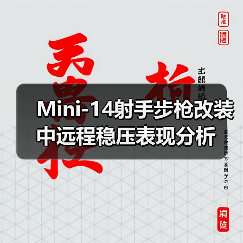 Mini-14射手步枪改装中远程稳压表现分析（图3）