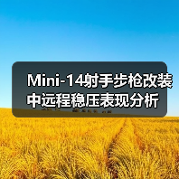 Mini-14射手步枪改装中远程稳压表现分析（图1）