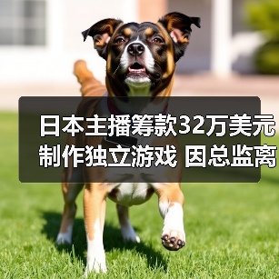 日本主播筹款32万美元制作独立游戏 因总监离职或夭折（图4）