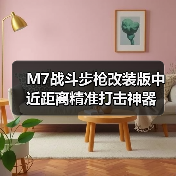 M7战斗步枪改装版中近距离精准打击神器(图3) M7战斗步枪改装版中近距离精准打击神器(图3)
