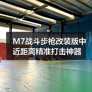 M7战斗步枪改装版中近距离精准打击神器(图1) M7战斗步枪改装版中近距离精准打击神器(图1)