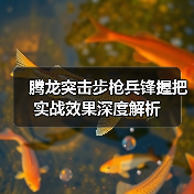 腾龙突击步枪兵锋握把实战效果深度解析（图4）