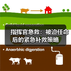 指挥官急救:被迫任命后的紧急补救策略(图4) 指挥官急救:被迫任命后的紧急补救策略(图4)