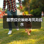 股票投资策略与风险提示(图3) 股票投资策略与风险提示(图3)