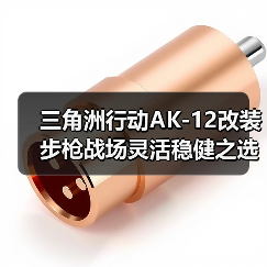 三角洲行动AK-12改装步枪战场灵活稳健之选(图1) 三角洲行动AK-12改装步枪战场灵活稳健之选(图1)