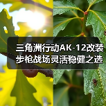 三角洲行动AK-12改装步枪战场灵活稳健之选(图4) 三角洲行动AK-12改装步枪战场灵活稳健之选(图4)