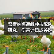 雷索纳斯通解冲击配队研究,伤害计算成关键?(图1) 雷索纳斯通解冲击配队研究,伤害计算成关键?(图1)