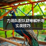 力场队配队疑难解析与实战技巧(图4) 力场队配队疑难解析与实战技巧(图4)