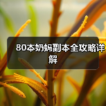 80本奶妈副本全攻略详解(图4) 80本奶妈副本全攻略详解(图4)
