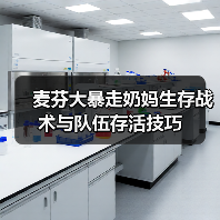 麦芬大暴走奶妈生存战术与队伍存活技巧(图4) 麦芬大暴走奶妈生存战术与队伍存活技巧(图4)