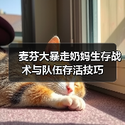 麦芬大暴走奶妈生存战术与队伍存活技巧(图2) 麦芬大暴走奶妈生存战术与队伍存活技巧(图2)