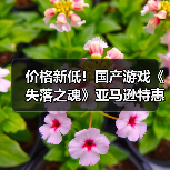 价格新低!国产游戏《失落之魂》亚马逊特惠开启(图3) 价格新低!国产游戏《失落之魂》亚马逊特惠开启(图3)