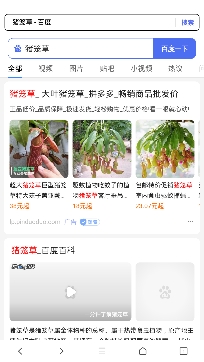 快看浏览器app极速版 快看浏览器app极速版