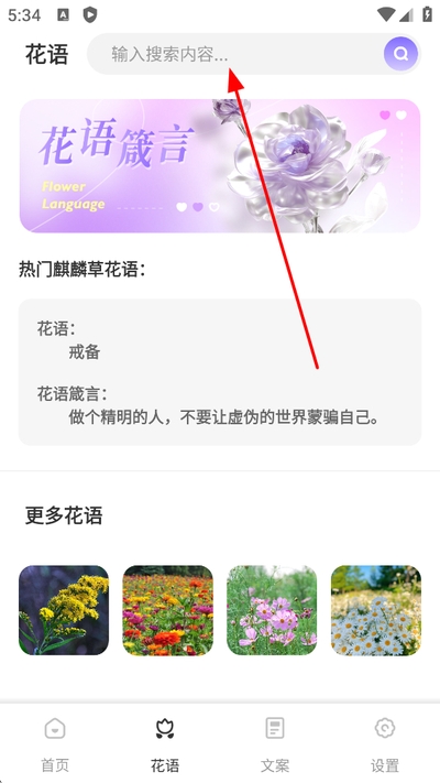 洽谈聊天软件 洽谈聊天软件