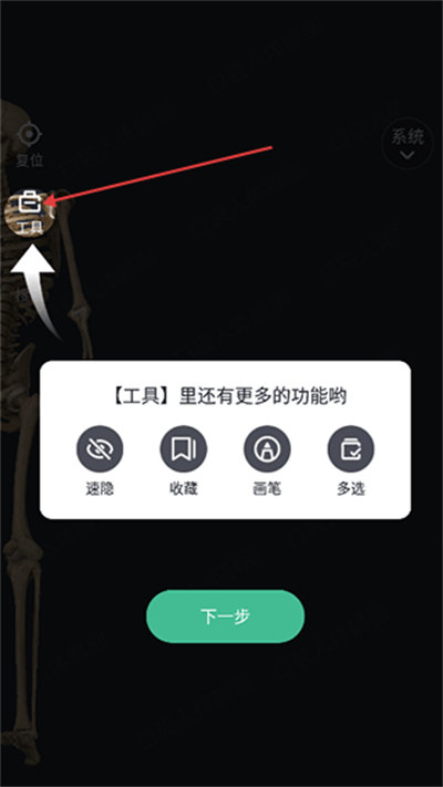 口袋人体解剖免费版2025