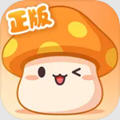 冒险岛枫之传说腾讯版 v0.92.1341官方版
