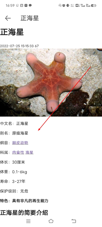 动物百科 动物百科