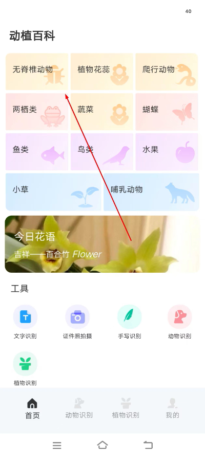 动物百科 动物百科