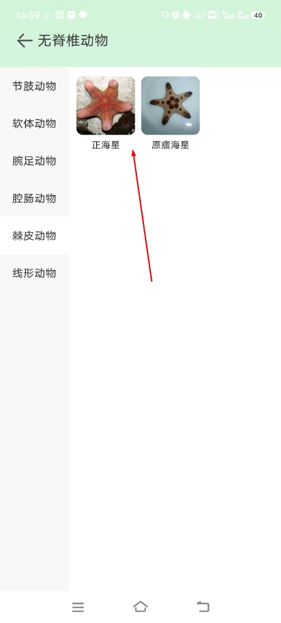 动物百科 动物百科