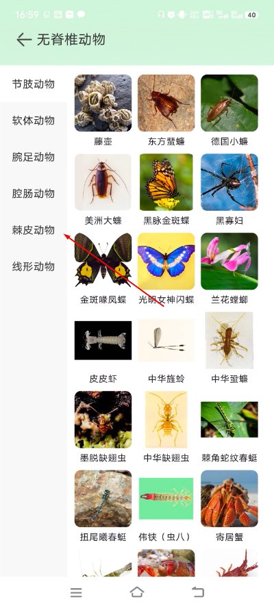 动物百科 动物百科