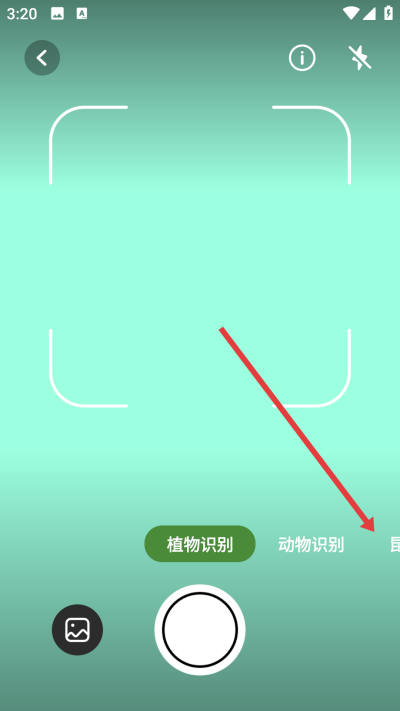 拍照识花君官方版 拍照识花君官方版