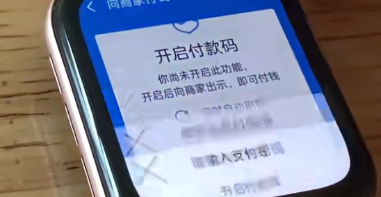 支付宝手表版apk 支付宝手表版apk