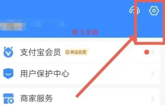 支付宝手表版apk 支付宝手表版apk