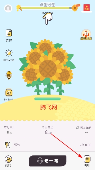蜂窝记账app最新版