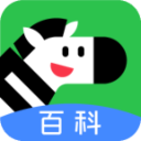 斑马百科下载